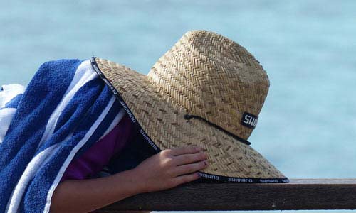 攻击网站服务器